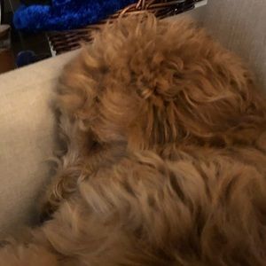 Meet your Posher, Abdel